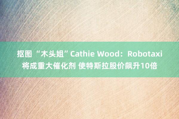 抠图 “木头姐”Cathie Wood：Robotaxi将成重大催化剂 使特斯拉股价飙升10倍